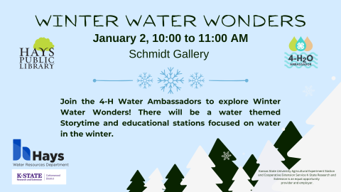 Winter Water Wonders